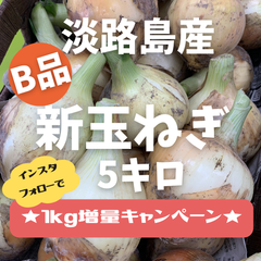 淡路島産　B品新玉ねぎ5ｋｇ