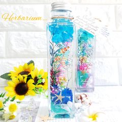 海ハーバリウム ギフト インテリア