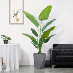 定価3.6万 本物そっくりストレチア大物フェイクグリーンモンステラ 定価3.6万 本物そっくりストレチア大物フェイクグリーンモンステラ