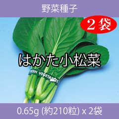野菜種子 EBQ はかた小松菜 0.65g(約210粒) x 2袋
