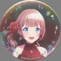 【中古】バッジ・ピンズ 望月穂波 「プロジェクトセカイ カラフルステージ! feat. 初音ミク Anniversary/Birthdayカードイラスト 缶バッジコレクション B」