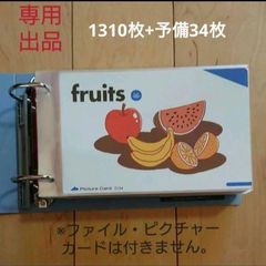 ペッピーキッズクラブ カード収納 ペッピーキッズクラブ ピクチャーカード収納袋(リフィル) 約406