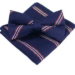 蝶ネクタイ　ポケットチーフ　2点セット　ストライプ柄　ネイビー色　シルバー色　ホワイト色　レッド　ドット柄　紺色　結婚式　パーティー　イベント　卒業式　入社式　入学式　ダンスパーティー　バーテンダー　ワンタッチネクタイ　スーツ　ワイシャツ　　小物　格安