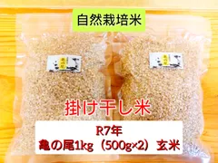 農家直送令和6年11月22日収穫新米最上位等級特A等級揖斐産ハツシモ玄米10キロ 農家直送令和6年11月22日収穫新米最上位等級特