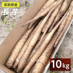 【家庭用】砂丘ながいも　長芋　とりたて 10kg程度　とろろ　ねばり　山芋