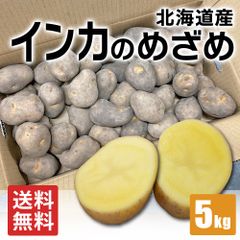 インカのめざめ　じゃがいも　ホクホク　濃厚　甘い　黄金　北海道産　約5kg　S～Lサイズ　馬鈴薯　丸進青果セレクト
