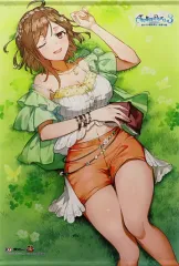 【中古】タペストリー ライザ 描き下ろしB2タペストリー 「PS5/PS4/Switchソフト ライザのアトリエ3 ～終わりの錬金術士と秘密の鍵～」 アニメイト購入特典