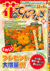 ★在庫一掃セール★花のてんつなぎ館 Vol.7