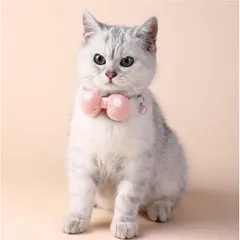 ペット用首輪 ネックレス サイズ 調節 リボン 大人気3点セット ca830