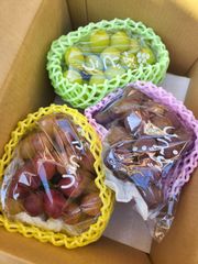 pon様専用です!！　クール便