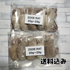 爬虫類のエサ　国産冷凍ラット　ファジー　20〜29g 10匹