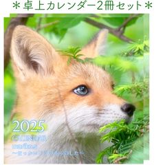 2冊セット ほっかいどうのそらのした 2025 オリジナル卓上カレンダー
