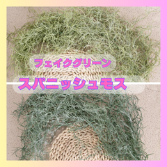 フェイクグリーン　人工観葉　スパニッシュモス　 インテリアグリーン グリーンブッシュ  フェイクグリーン 観葉植物 ブッシュ  吊り下げ ハンギング  イミテーショングリーン リビング 玄関 おしゃれ かわいい