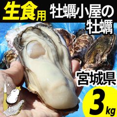 牡蠣 生食用 3kg 15～24個 殻付き 産地直送 宮城県産 三陸 カキ かき kaki 牡蛎 生牡蠣 海鮮 貝 貝類  刺身 バーベキュー BBQ 産直 牡蠣2