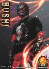 【中古】スポーツ No.14：BUSHI