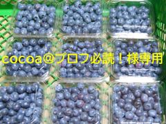 ※cocoa@プロフ必読！様専用　農薬不使用、生食用ブルーベリーミックス1．2㎏プラスα(多め)！♪