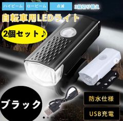 自転車 3段階LED 2個セット フロントライト 黒 USB充電式 防水 ブラック ホワイト 白 ボタン式 ハンドル取り付け 工具不要 乾電池不要 IPX6 懐中電灯 夜釣り 夜間照明 防災 緊急時 アウトドア サイクリング マウンテンバイク ロードバイク