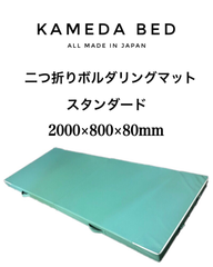 リニューアル SALE ￥29700→￥22000 ボルダリングマット スタンダード クラッシュパッド