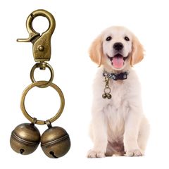 新品 Coollooda 鈴 首輪用 犬 猫 首輪アクセサリー 直径20mm チャーム ペンダント 可愛い 装飾用ベル 小型犬用