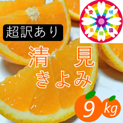 【超訳あり】清見(きよみ) 9kg 愛媛みかん