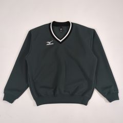 Item thumbnail for item 9f1e15b3-ed95-46d2-8a50-4efa4e622966