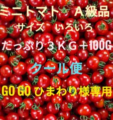 GO GO ひまわり様専用　ミニトマト　３kg＋100g