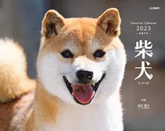 2024年最新】柴犬 カレンダー2023の人気アイテム - メルカリ