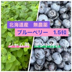 北海道産　農薬除草剤不使用　ブルーベリー　ミント付き　1.5キロのサムネイル