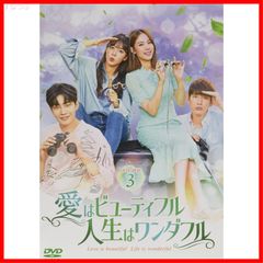 【新品未開封】愛はビューティフル、人生はワンダフル DVD-BOX3 ソル・イナ (出演) キム・ジェヨン (出演) 形式: DVD