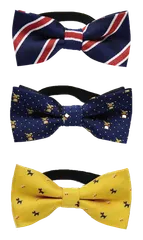 子供用 蝶ネクタイ キッズ ジュニア用３点セット ブルージュ カラフル 水玉 小紋 ストライプ 柄