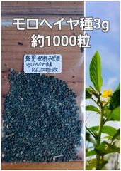 モロヘイヤ3ｇ約1000粒