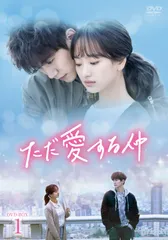 美品 廃盤 希少 韓国ドラマ 「ただ愛する仲」OST CD サウンド