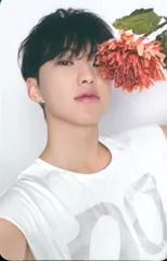 SEVENTEEN HOSHI 17 IS RIGHT HERE DEAR