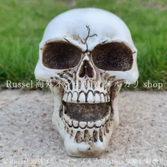 ガーデンオブジェ ガイコツ 樹脂 庭 ドクロ かっこいい ハロウィン ゴースト スカル ガーデニング 雑貨 ガーデン雑貨 ガーデンインテリア ガーデン インテリア 庭の装飾 お洒落 おしゃれ 8-14