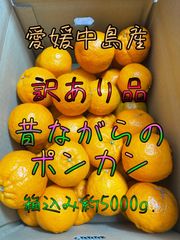 ポンカン　訳あり品　箱込み約5Kg.