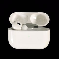 Apple AirPods Pro 第二世代 A2968 A3048 イヤホン ケース ケース 左のみ イヤフォン アップル エアポッズ