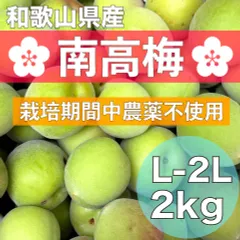梅シミ出る可能性大10キロ予約収穫可能100サイズ発送郵便郵送