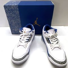 03w15815【箱付き】 Nike Air Jordan 3 Retro True Blue and Copper ナイキ エアジョーダン3 レトロ トゥルーブルー アンド コッパー 28.5cm メンズ  スニーカー  CT8532-148