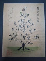 戦前　「 金のなる木の図 」　ポスター　大阪百三十国立銀行