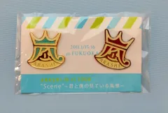 嵐 10-11年 scene 君と僕の見ている風景 福岡 ピンバッジ *紫