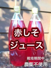 2024年最新】りんごジュース 1l 6本の人気アイテム - メルカリ