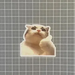 【A087】防水ステッカー 猫 猫ミーム CAT 眉毛 三毛猫 白猫