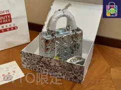 Dior ディオール  ハンドバッグ ショルダーバッグ｜本日限定特価｜新品未使用