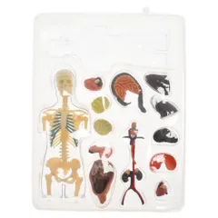 2026年最新】supreme シュプリームmale anatomyの人気アイテム - メルカリ