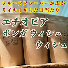 エチオピア ボンガ ウィシュウィシュ 100g×１袋 フルーツフレーバーが広がりイキイキした口当たり 新鮮厳選 炭火焙煎 ねこのめ珈琲 ハンドピック済 お土産用にもどうぞ