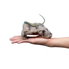 爬虫類 レオパ シェルター トカゲ カナヘビ 亀 ロックシェルター 爬虫類シェルター 岩 隠れ家 S