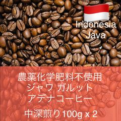 インドネシア ジャワ アデナコーヒー  農薬化学肥料不使用コーヒー豆 200g