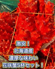激安&訳あり‼️北海道冷凍根室産　花咲蟹　5杯セット‼️　約300〜400g