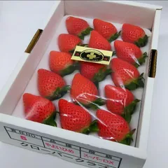 2025年最新】やよいひめの人気アイテム - メルカリ 