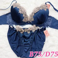 ブラショーツセット B75/D75 サテン ネイビー コードデザイン レース刺繍 セクシー エレガント 上品 ケミカルレース 下着セット ランジェリー